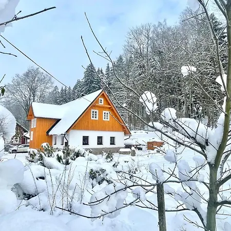 Villa In Bohemia With Terrace Lučany nad Nisou